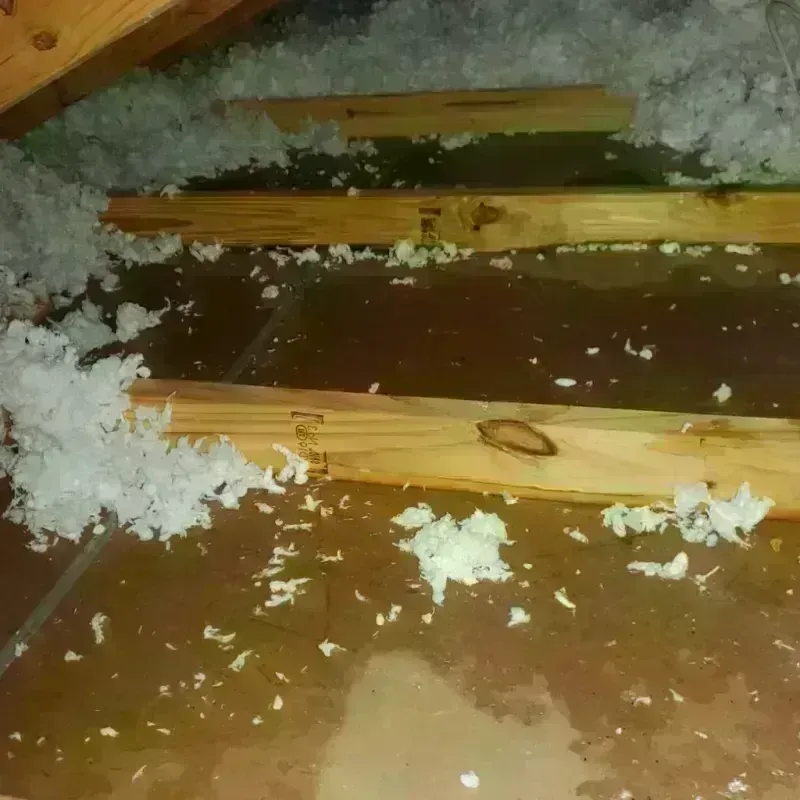 Attic Water Damage in Rochester, MA