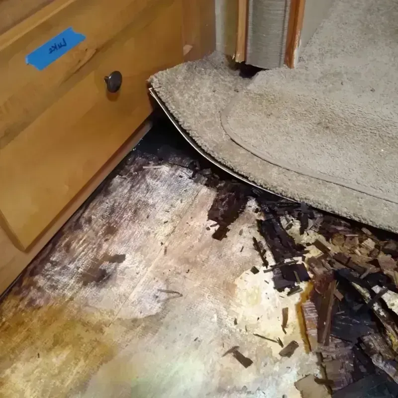 Best Wood Floor Water Damage Service in Rochester, MA